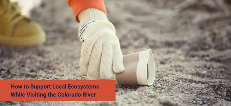 How to Support Local Ecosystems While Visiting the Colorado River