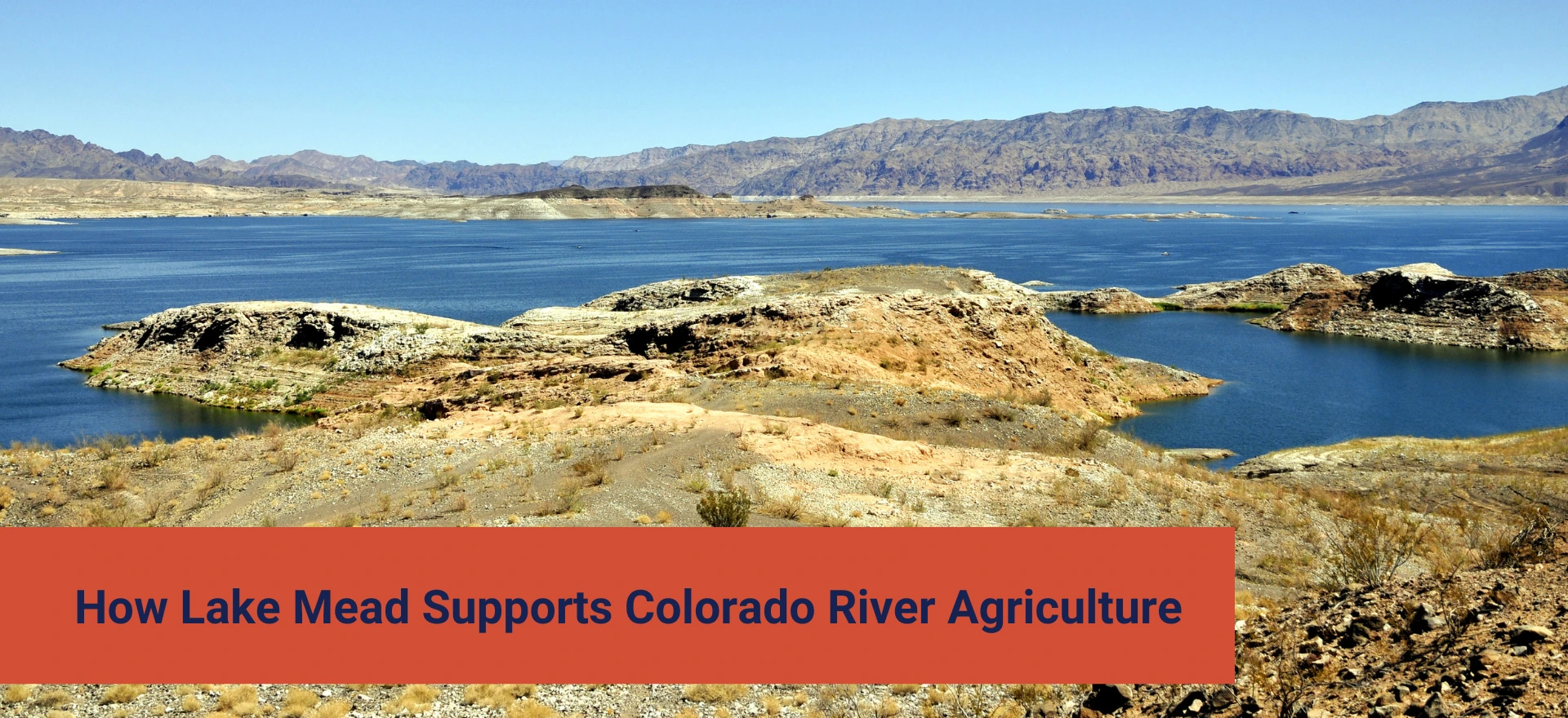 What-important-role-does-Lake-Mead-have-in-agriculture_-2