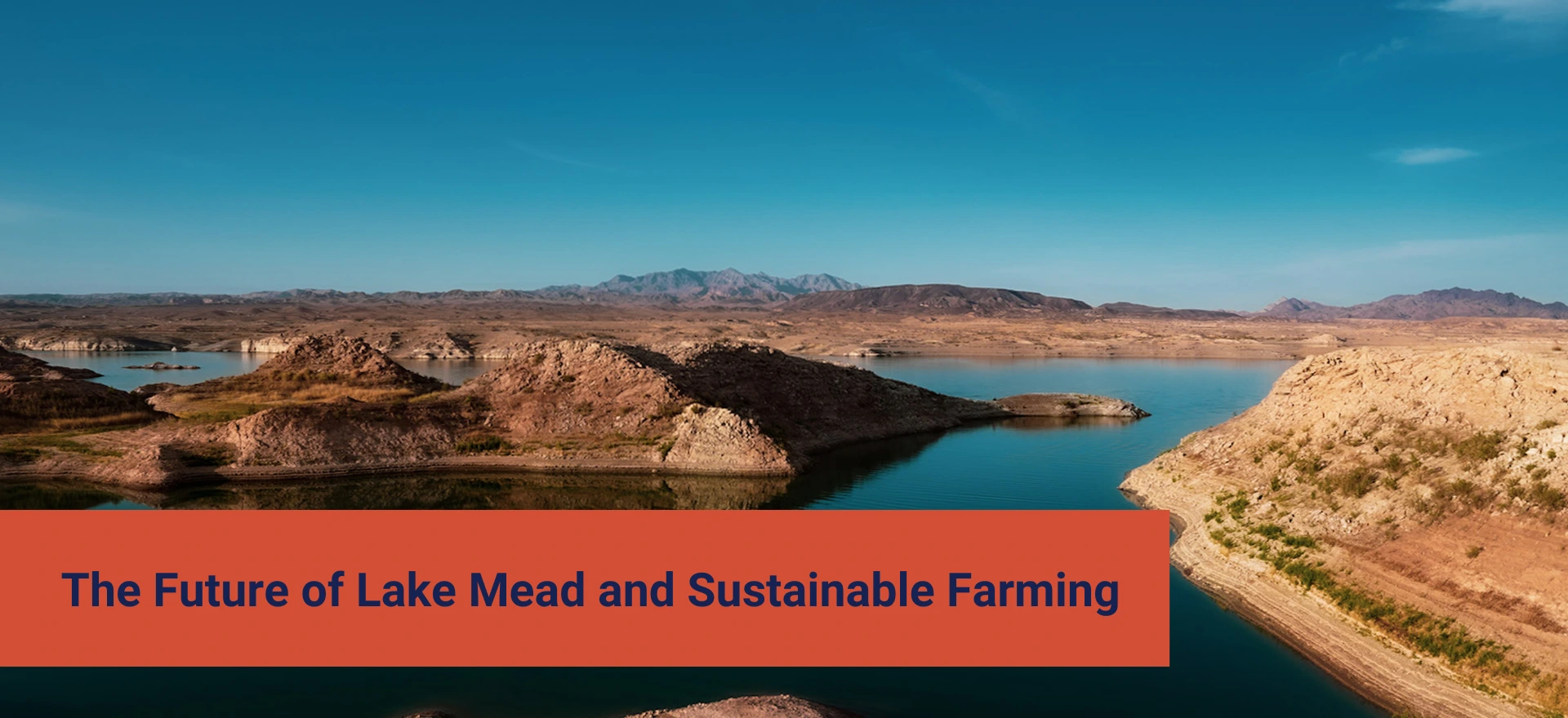 What-important-role-does-Lake-Mead-have-in-agriculture_-4