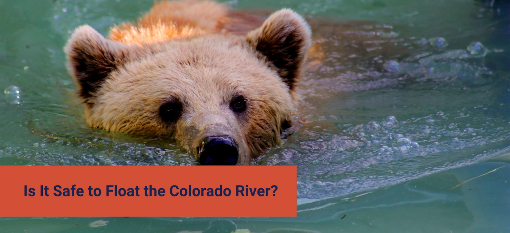 Can You Stay Overnight at the Colorado River?